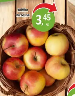 Sklepy S Jabłko wczesne oferta