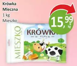 Sklepy S Krówka Mleczna oferta