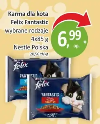 Karma dla kota Felix Fantastic