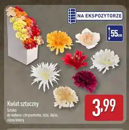 ALDI Kwiat sztuczny chryzantema oferta
