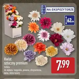 ALDI Kwiat sztuczny premium magnolia oferta