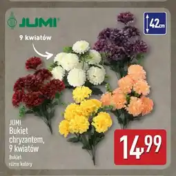 ALDI Bukiet chryzantem 9 kwiatów Jumi oferta