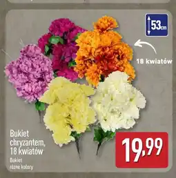 ALDI Bukiet chryzantem 18 kwiatów oferta