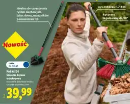 Lidl PARKSIDE Szczotka kątowa teleskopowa oferta