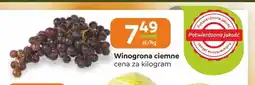 Społem Częstochowa Winogrona ciemne oferta