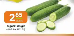 Społem Częstochowa Ogórki długie oferta