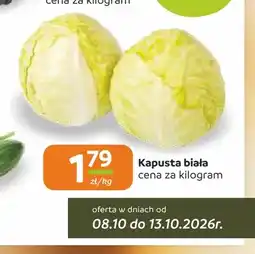 Społem Częstochowa Kapusta biała oferta