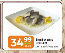 Społem Częstochowa Śledź w oleju Społem oferta