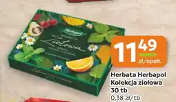 Społem Częstochowa Herbata Herbapol Kolekcja ziołowa oferta