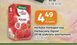 Społem Częstochowa Herbata ekspresowa Herbapol Herbaciany Ogród oferta