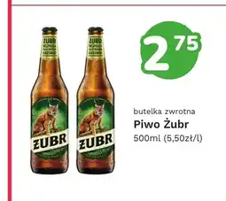 Limonka Piwo Żubr oferta