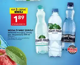 Lewiatan Woda gazowana Żywiec Zdrój delikatnie musujący oferta