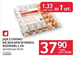 Selgros Jaja z Chowu na wolnym wybiegu oferta