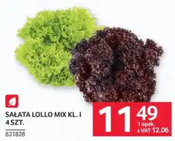 Selgros Sałata Lollo Mix Kl. I oferta