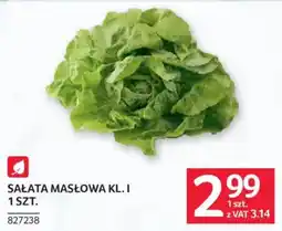 Selgros Sałata Masłowa Kl. I oferta