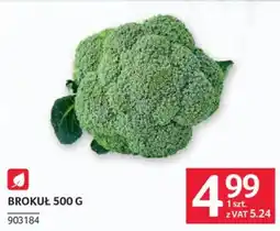 Selgros Brokuł oferta