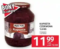 Selgros Kapusta Czerwona Rolnik oferta