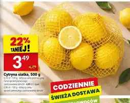 Twój Market Cytryna siatka oferta