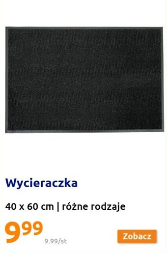 Action Wycieraczka 40x60cm oferta