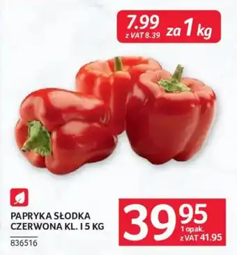 Papryka Słodka Czerwona KL. 15 KG