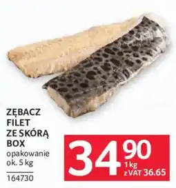Selgros Zębacz Filet ze Skórą Box oferta