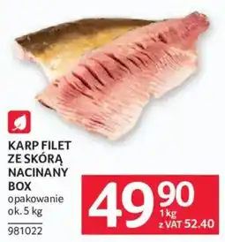 Selgros Karp Filet ze Skórą Nacinany Box oferta