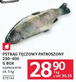 Selgros Pstrąg tęczowy patroszony oferta