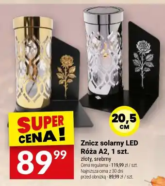 Twój Market Znicz solarny LED Róża A2 oferta