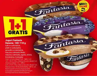 Jogurt Fantasia Danone