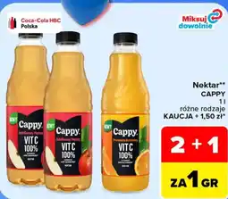 Carrefour Nektar CAPPY oferta