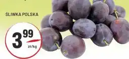 Sedal Śliwka Polska oferta