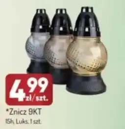 Avita Znicz 9KT oferta