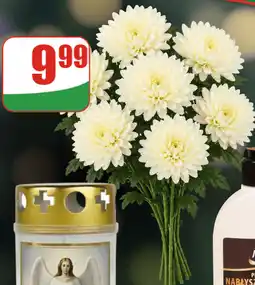 Dino Chryzantemy gałązkowe bukiet oferta