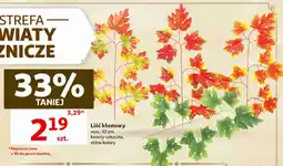 Auchan Liść klonowy, wys.: 53 cm, kwiaty sztuczne, różne kolory oferta