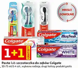 Auchan Pasta lub szczoteczka do zębów Colgate oferta