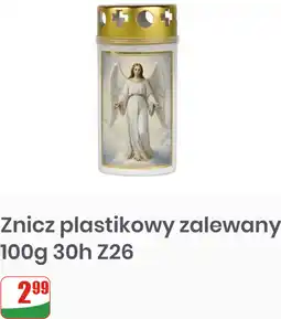 Dino Znicz plastikowy zalewany 100g 30h Z26 oferta