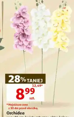 Auchan Orchidea, wys.: 96 cm, kwiaty sztuczne, różne kolory oferta