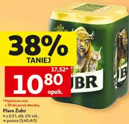 Auchan Piwo Żubr oferta