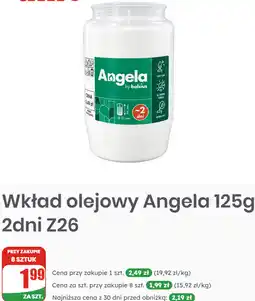 Dino Wkład olejowy Angela 125g 2dni Z26 oferta