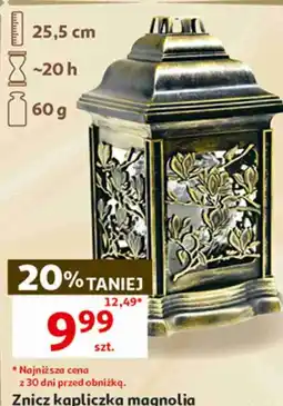 Auchan Znicz kapliczka magnolia oferta