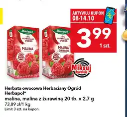 Lewiatan Herbata owocowa Herbaciany Ogród Herbapol malina oferta