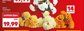 Kaufland Bukiet chryzantem oferta