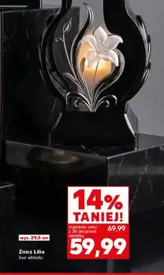Kaufland Znicz Lilia bez wkładu oferta