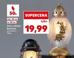 Kaufland Znicz szklany Eustoma oferta
