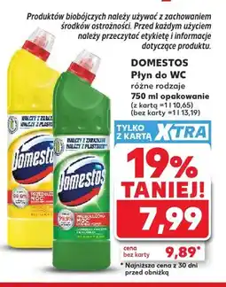 Kaufland Płyn do WC Domestos oferta