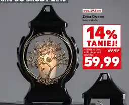 Kaufland Znicz Drzewo bez wkładu oferta