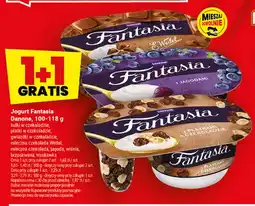 Twój Market Jogurt Fantasia Danone kulki w czekoladzie oferta