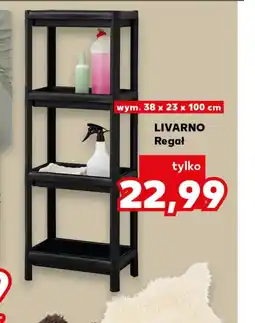 Kaufland Regał Livarno oferta