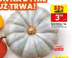 Twój Market Dynia Nelson oferta