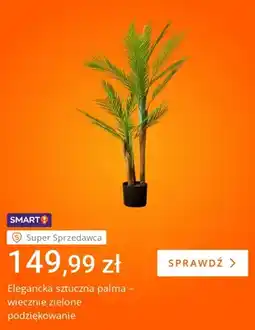 Allegro Elegancka sztuczna palma oferta
